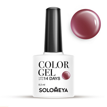 Solomeya Color Gel Puce 17